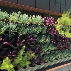 B2G Commercial Accessories, Green Wall System